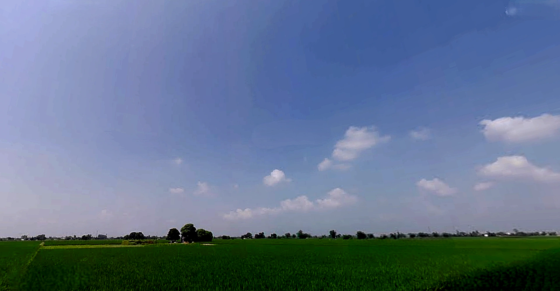 Rajpura, Punjab, India