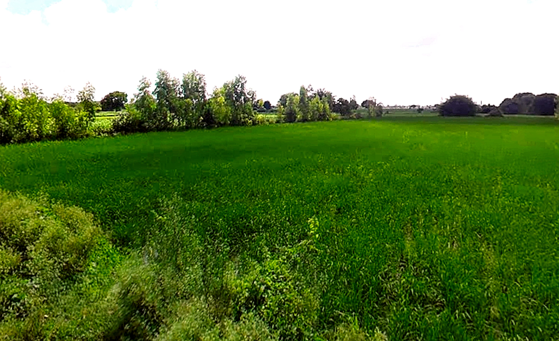 Ismailpur, Uttar Pradesh 202280, India