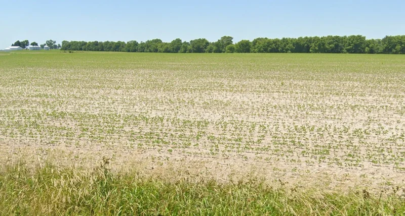 Basondi, Madhya Pradesh 475220, India preview 3