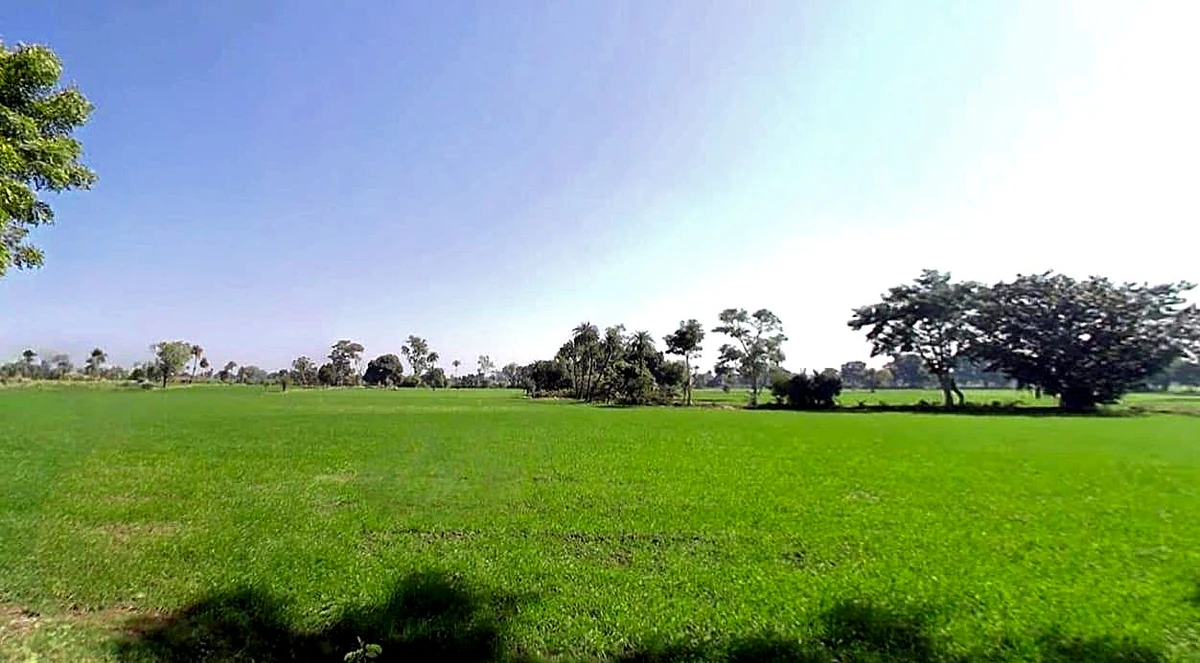 Shujalpur, Madhya Pradesh 465333, India