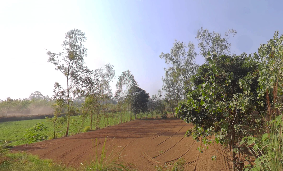 Roorkee Byp Rd, Todakalyanpur, Roorkee, Uttarakhand, India