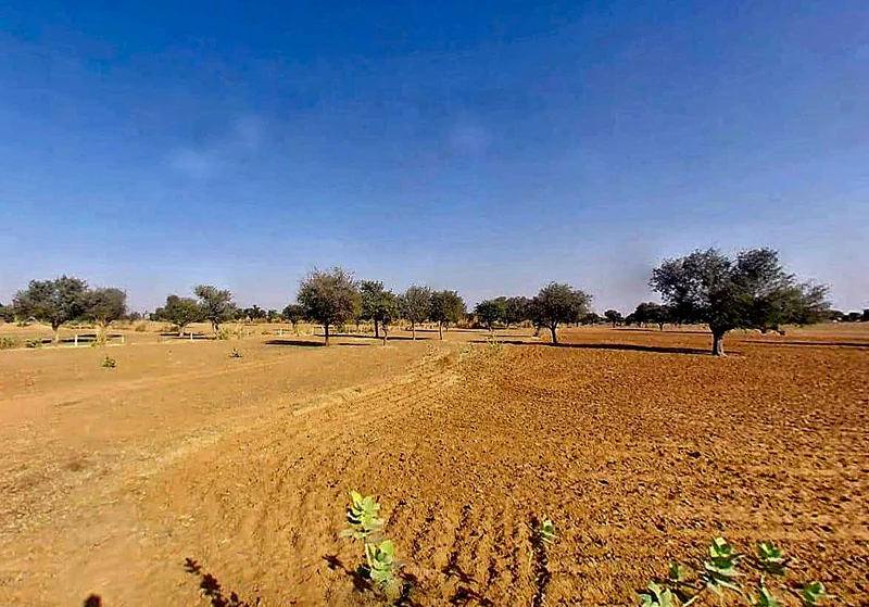 Dhani Boraj, Rajasthan 303328, India preview 2