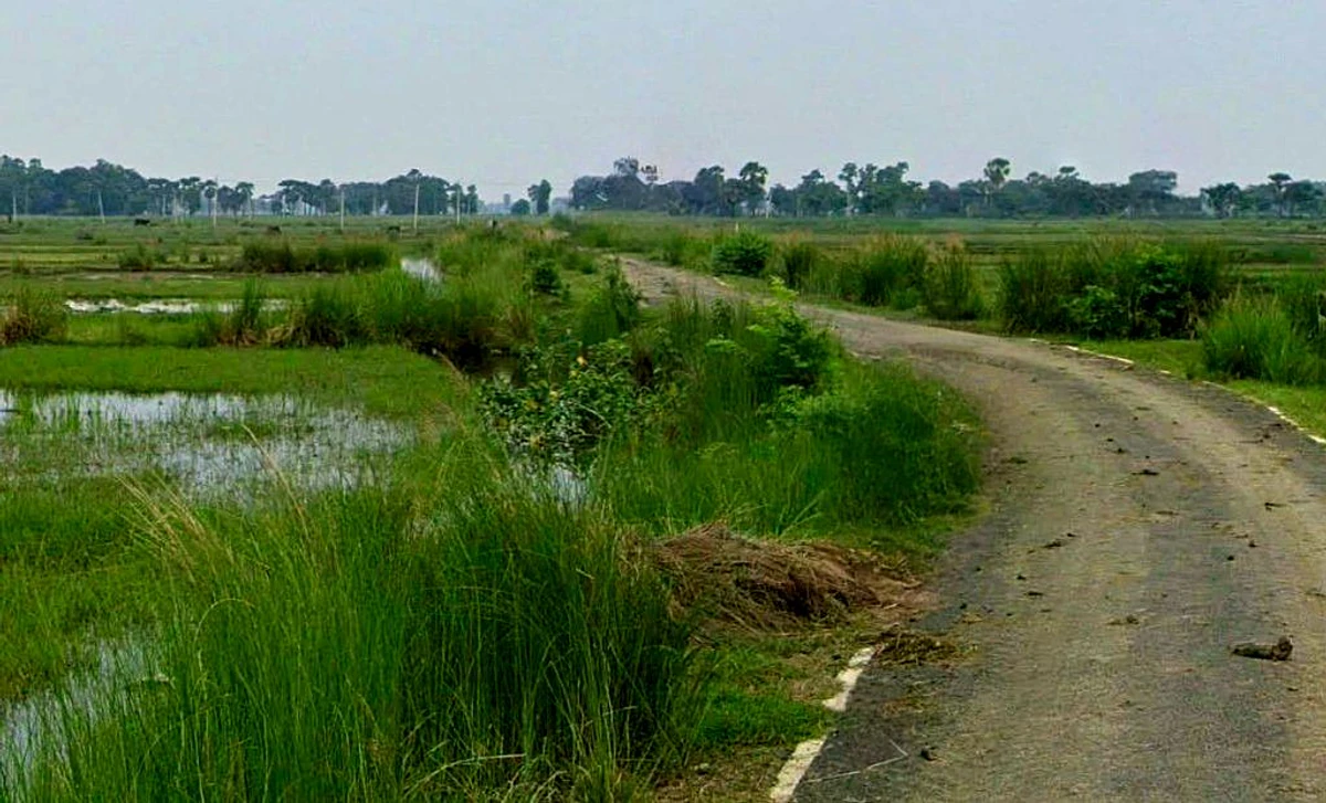 Kosa, Chhattisgarh, India