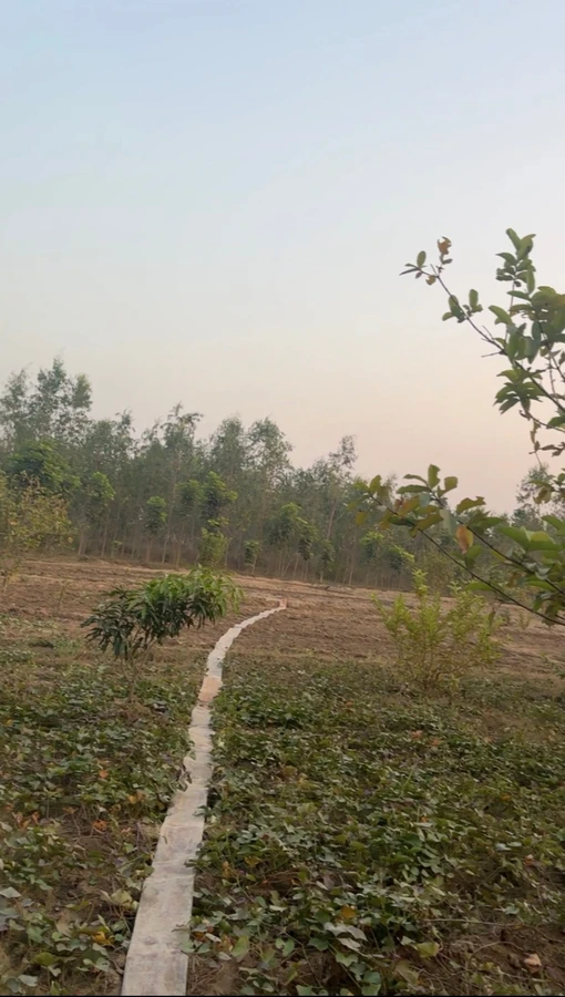Gokulpur, Uttar Pradesh, India