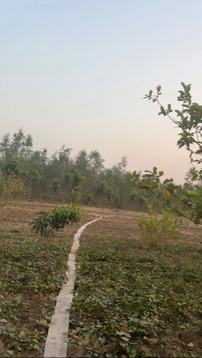 Gokulpur, Uttar Pradesh, India