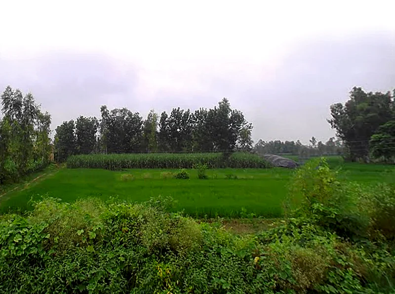 Garapur Urf Rustampur, Uttar Pradesh 244242, India preview 3