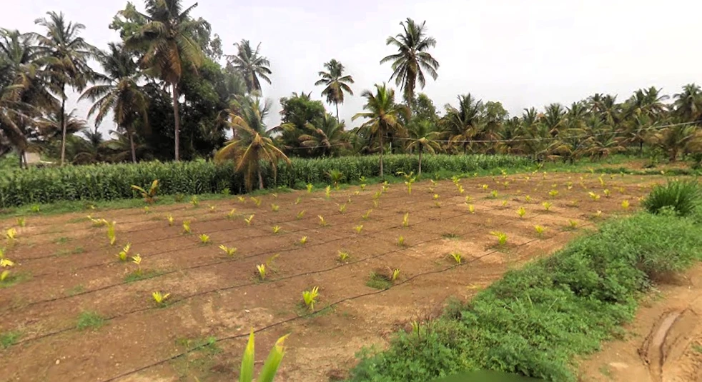 kalenahalli, Karnataka 560089, India