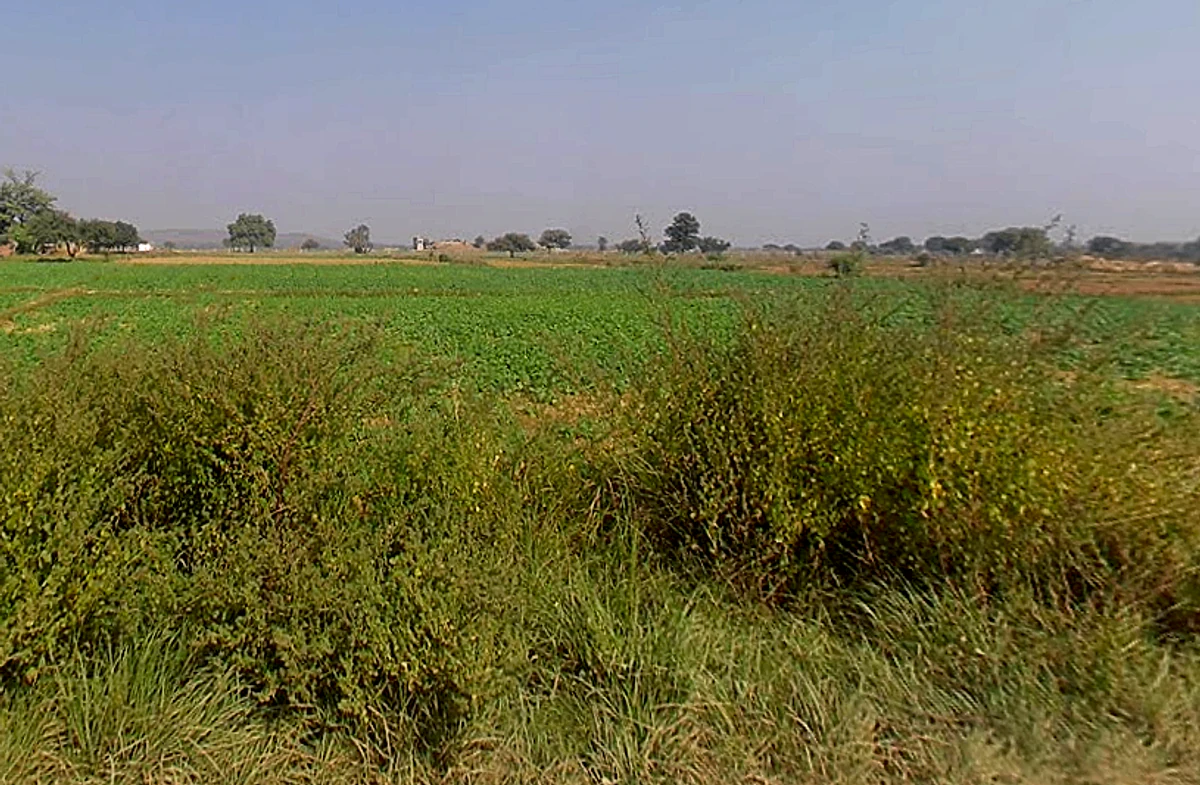 Saktesgarh, Rampur Shakteshgar, Uttar Pradesh 231304, India