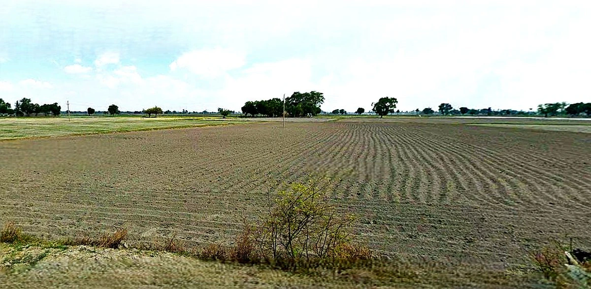 Agricultural Land in Sriganganagar, Sri-ganganagar