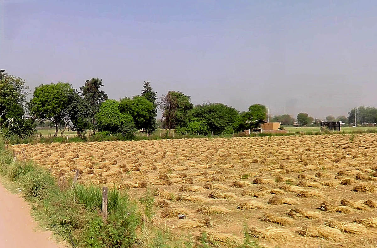 Kadarpur, Haryana, India