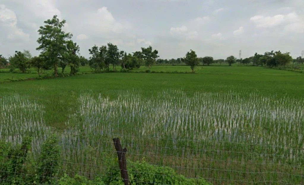 Girhola, Chhattisgarh 493888, India