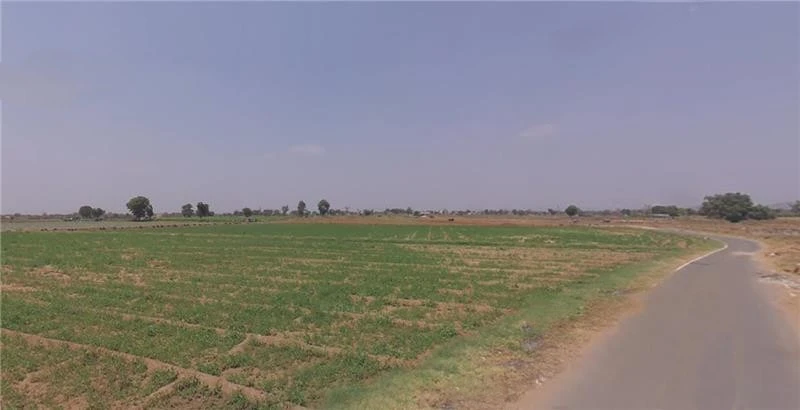 Khandiya, Gujarat 363410, India
