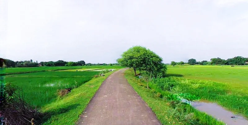 Agricultural Land in Raghunathpur, Purulia