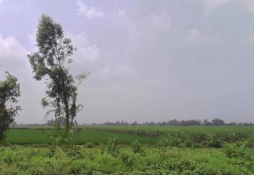 7772+J8C, Hitauta, Hitauti, Uttar Pradesh 242405, India