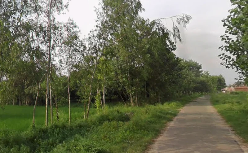 Mirzapur Pole, Uttar Pradesh 247121, India