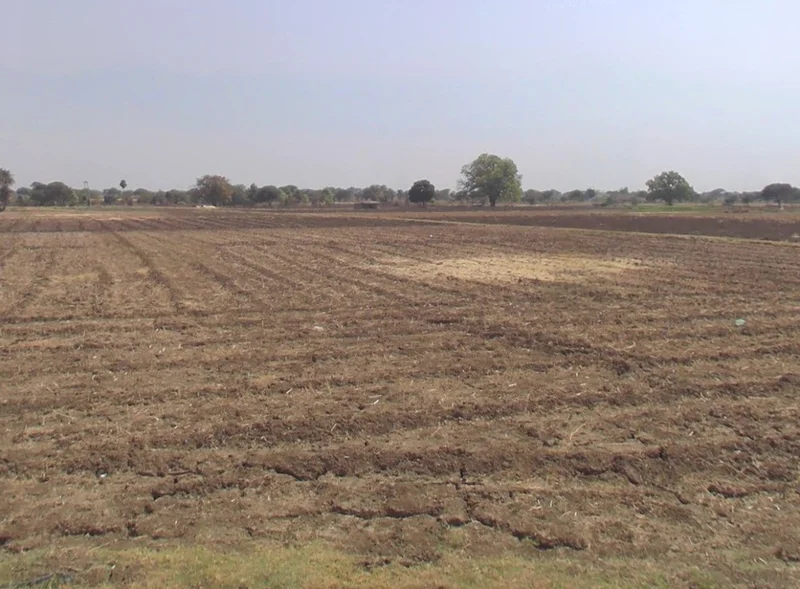 Raiyarao, Madhya Pradesh, India preview 3