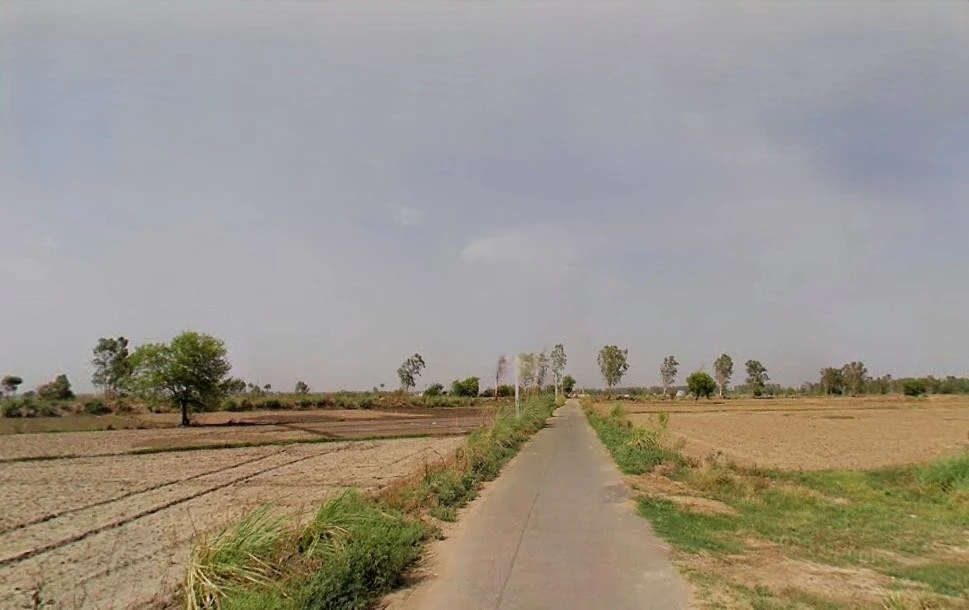 Agricultural Land in Raebareli , Raebareli