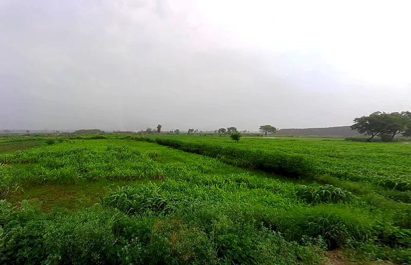 Israna, Haryana 132107, India preview 3