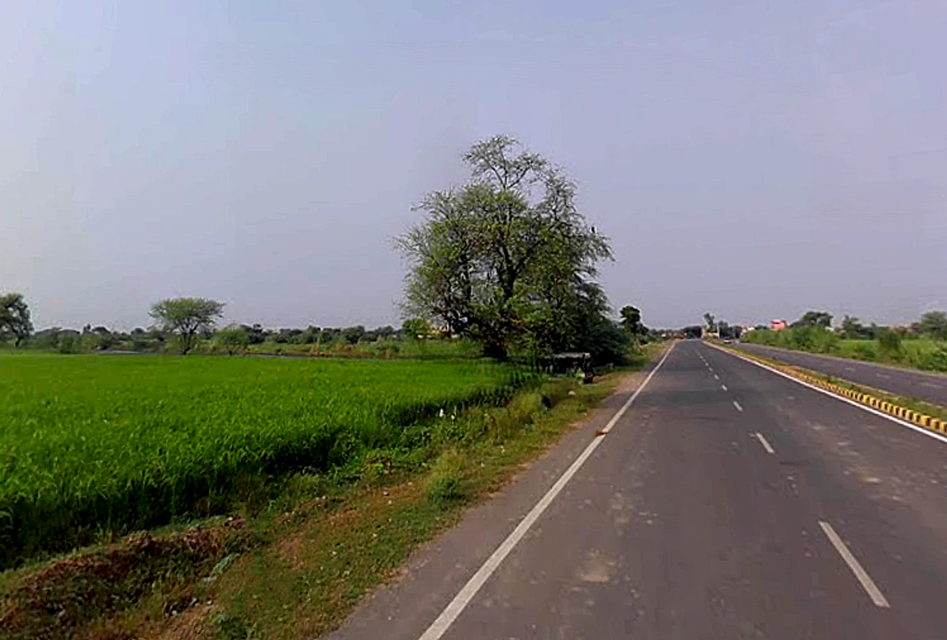 Govardhan, Uttar Pradesh, India