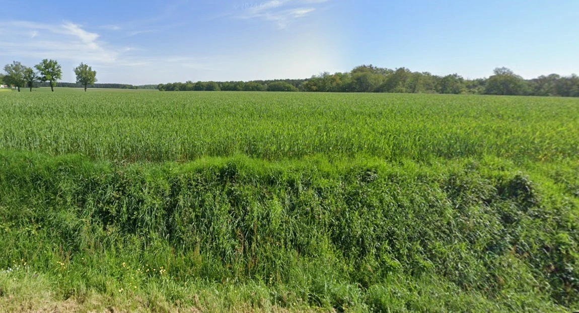 Rania, Uttar Pradesh, India