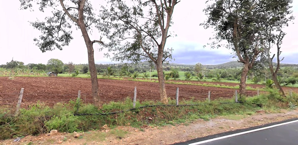 Begurjungle, Karnataka 571116, India