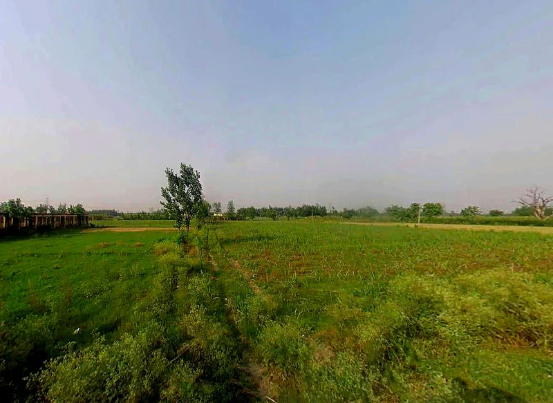 5JFC+MRQ, Jhitkari, Uttar Pradesh 250342, India preview 3