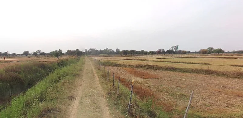 Chandausi, Uttar Pradesh 244412, India preview 3