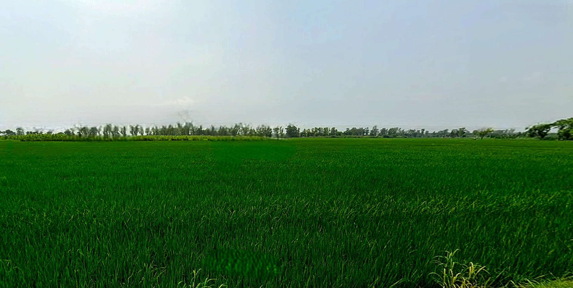 Morinda - Chunni Rd, Bhateri, Punjab, India