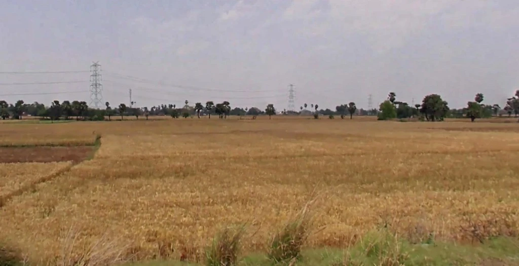 C2XG+3C9, Barepur, Bihar 804453, India