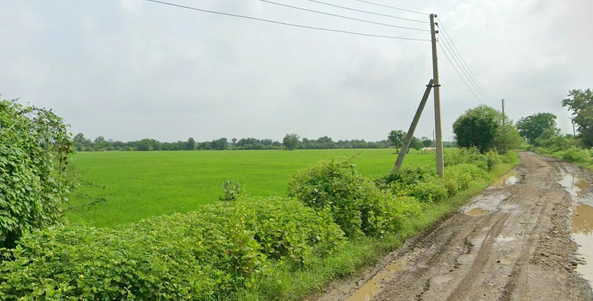 WRXW+26, Kohka, Chhattisgarh 491661, India