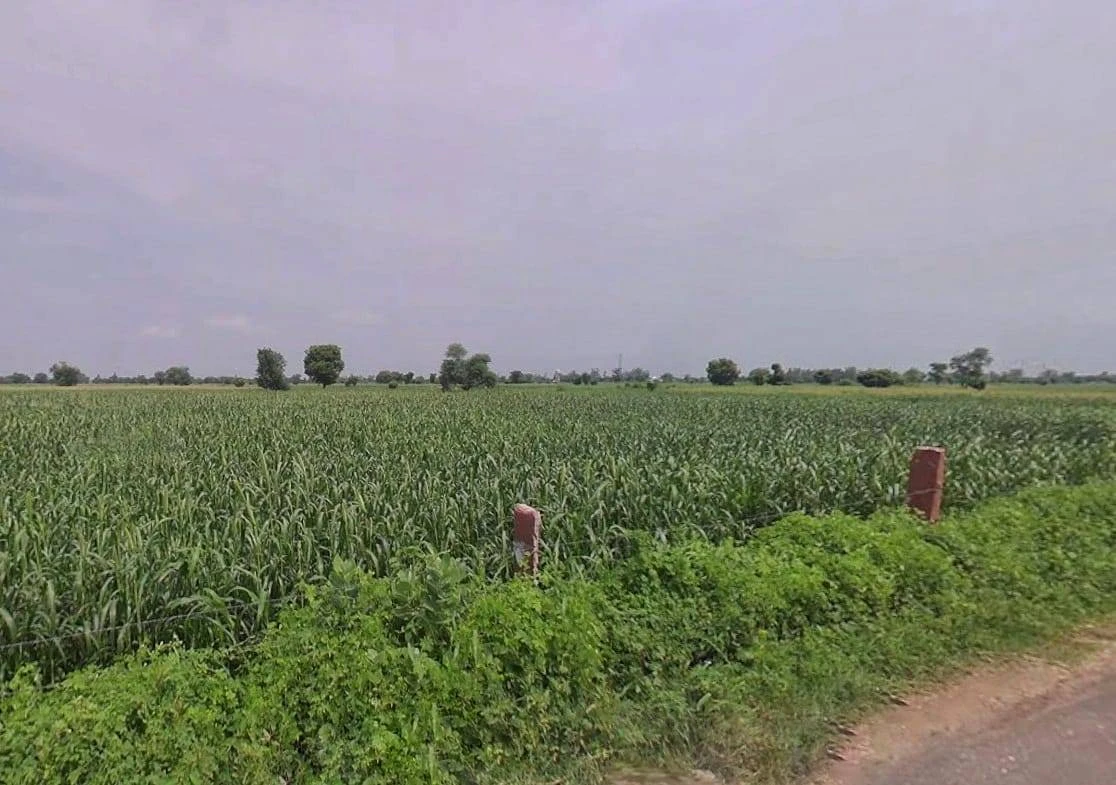 Talera, Rajasthan 323021, India