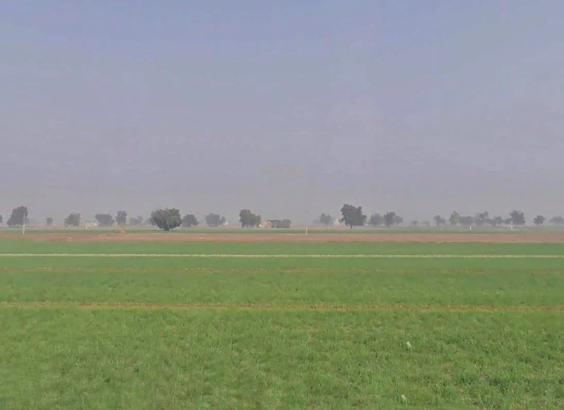 Ghamandia, Rajasthan 335804, India