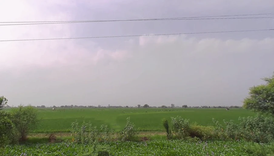 Dataganj, Uttar Pradesh 243635, India