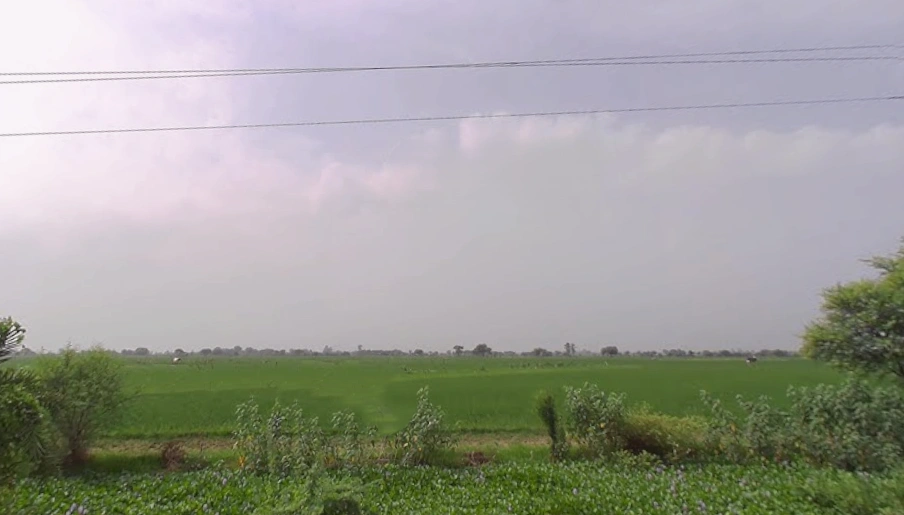 Dataganj, Uttar Pradesh 243635, India