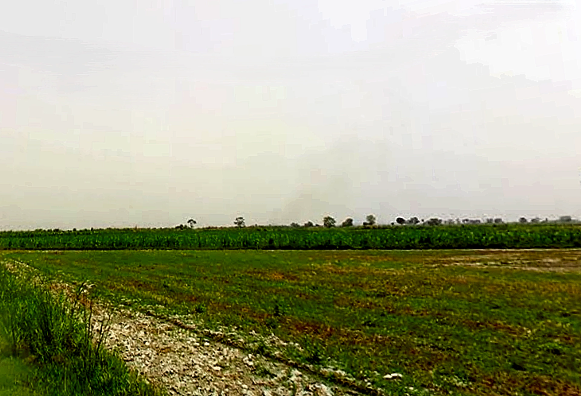 Hastinapur, Uttar Pradesh 250404, India