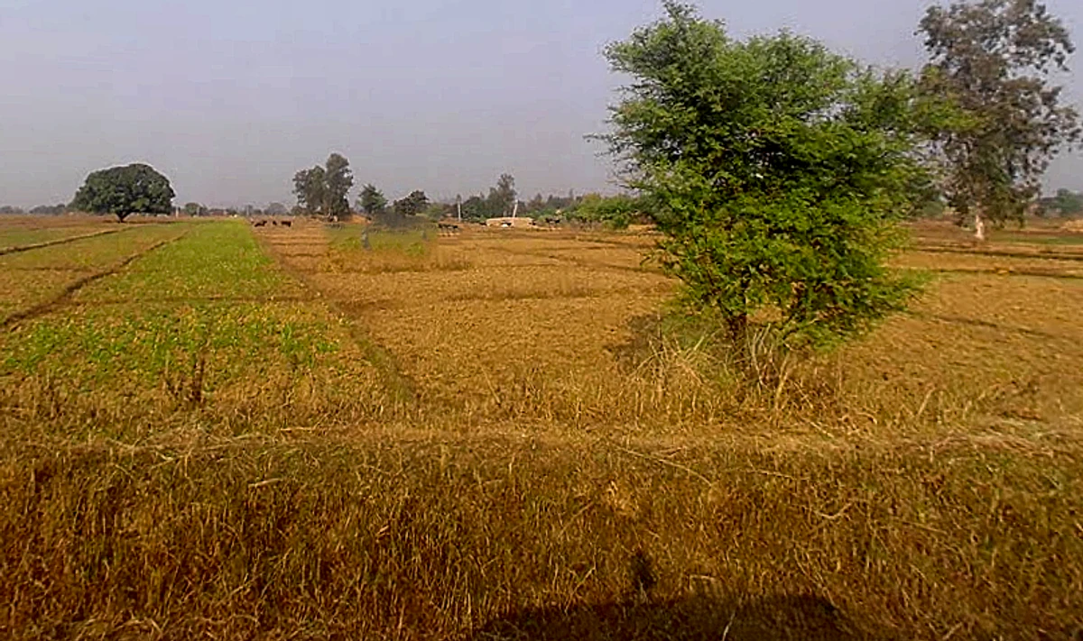 Marihan, Uttar Pradesh 231210, India