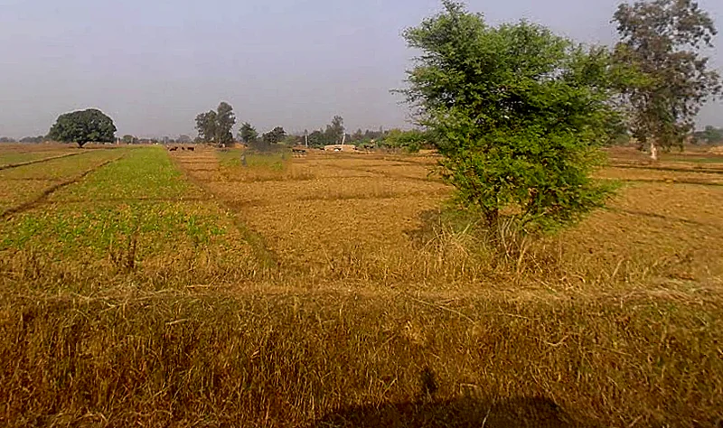 Marihan, Uttar Pradesh 231210, India preview 2