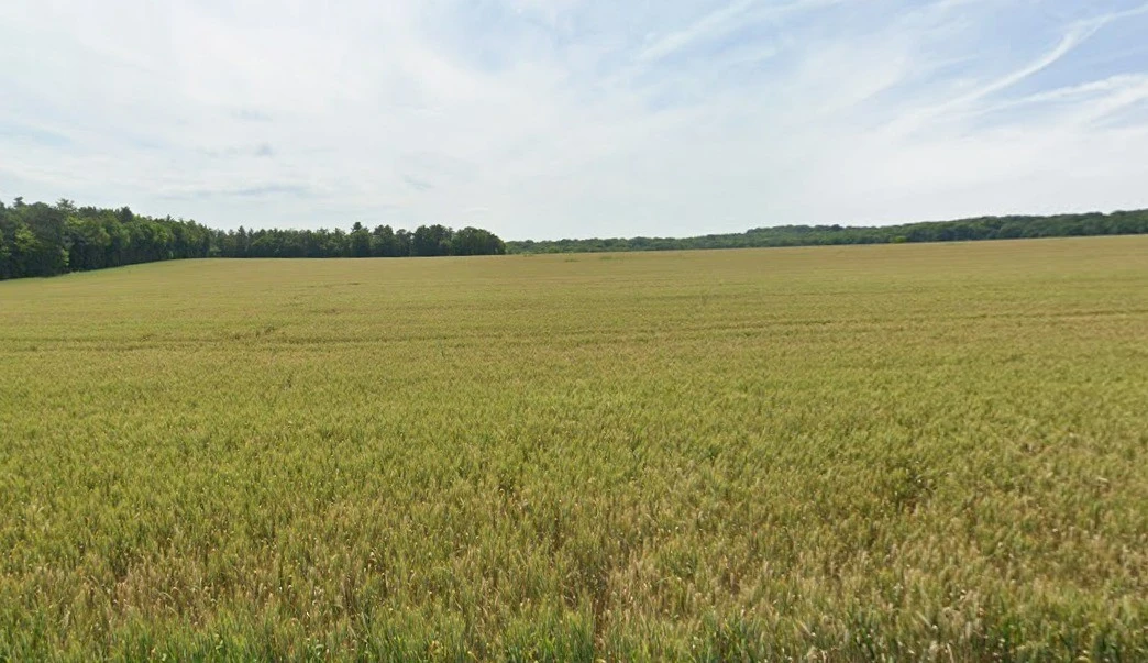 Pandhanya, Madhya Pradesh 451001, India