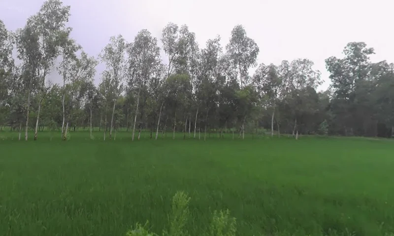 Fatehganj Pashchimi, Uttar Pradesh 243501, India preview 3