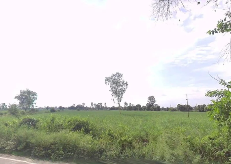 Lakhimpur, Uttar Pradesh 262701, India preview 3