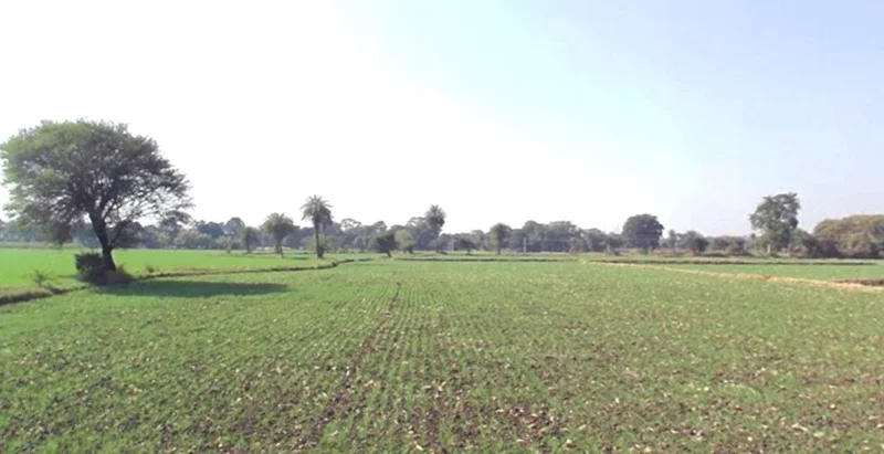 Daba, Madhya Pradesh, India
