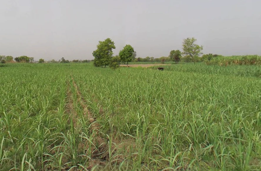 Makhdumpur, Uttar Pradesh, India