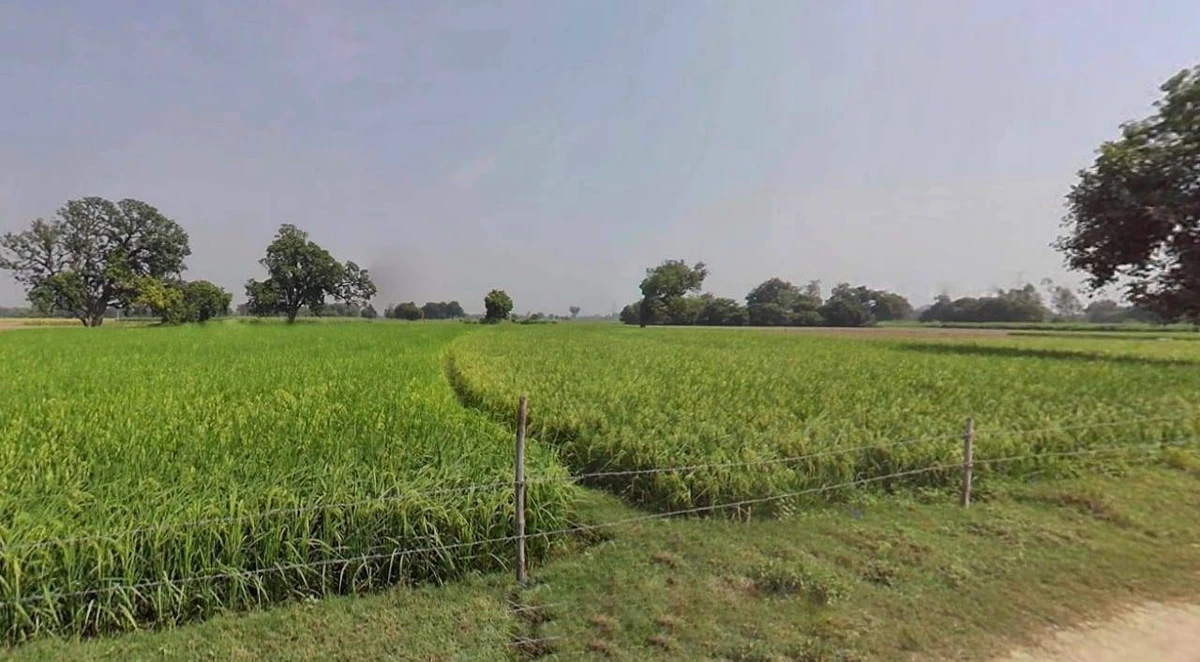 Jaisalmer, Rajasthan 345001, India