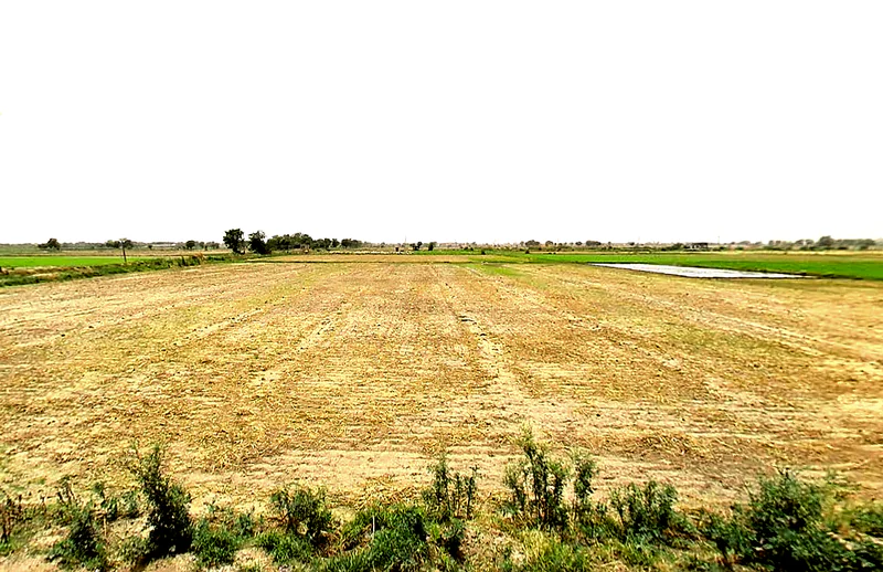 Pataudi, Haryana 122503, India preview 3