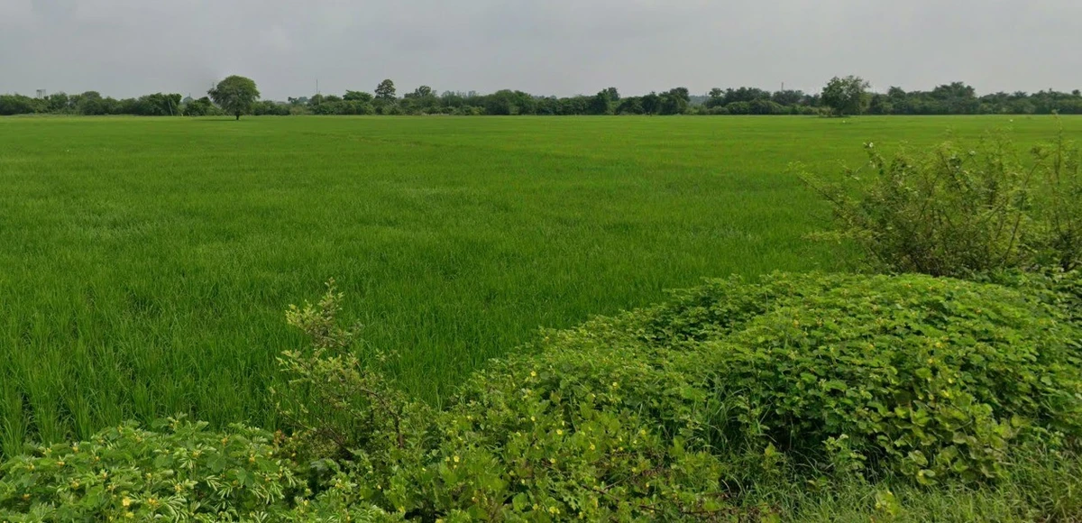 WRXW+26, Kohka, Chhattisgarh 491661, India