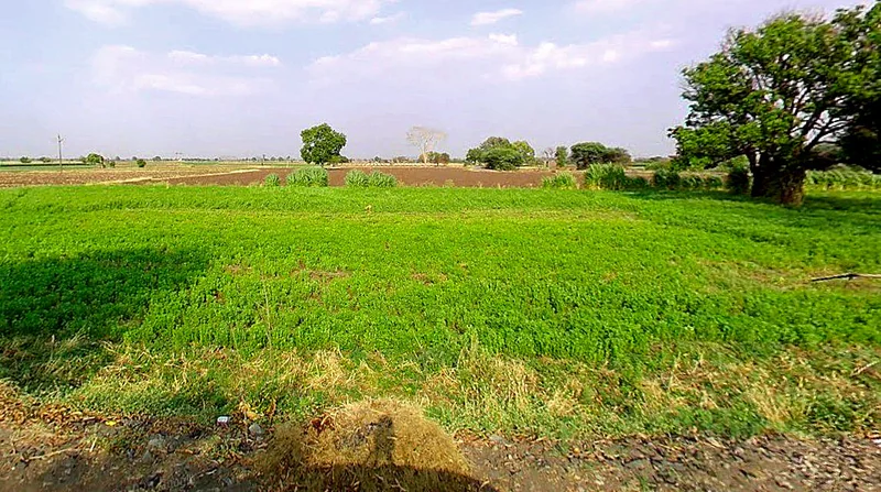 Kushalpura, Madhya Pradesh 466115, India preview 3