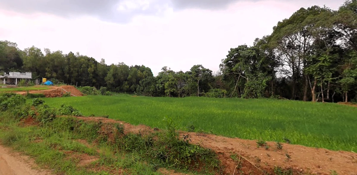 Agricultural Land in Mulabagal town, Kolar