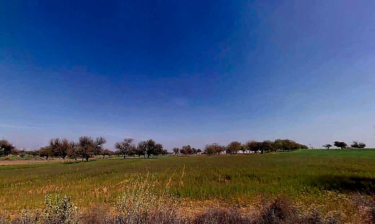 Aloda, Rajasthan 332602, India