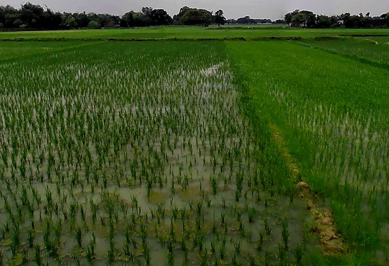 Agricultural Land in Kasdol/bhadra, Baloda-bazar