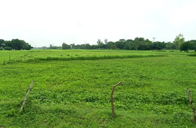 Kateharo, Uttar Pradesh 209859, India preview 3